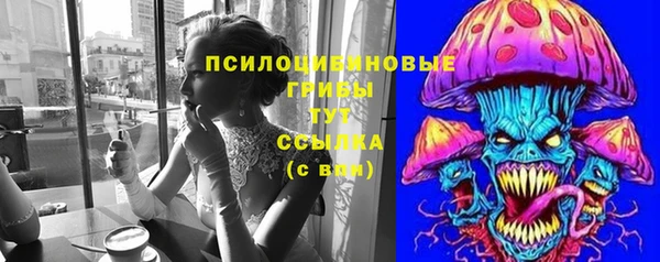 стаф Балахна