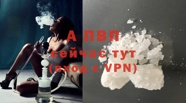 спайс Баксан