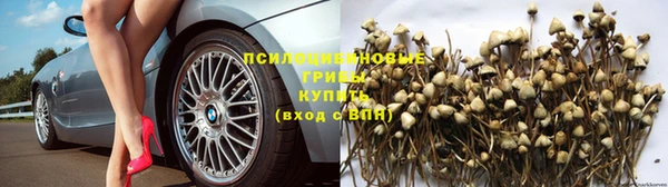 спайс Баксан