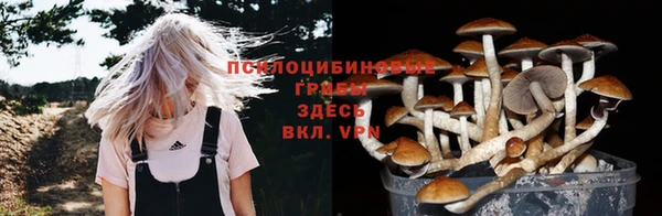 стаф Балахна